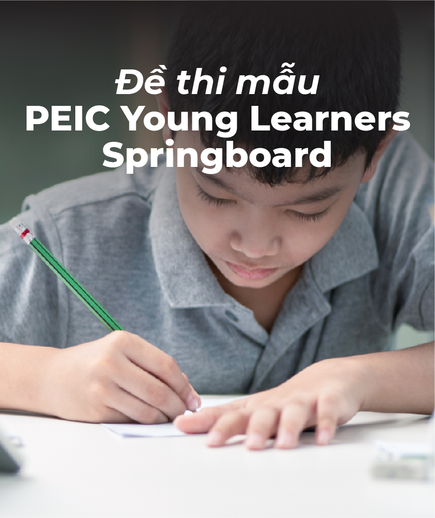 FileThumbnail_DeThiMauPEIC_YL-Springboard (1)